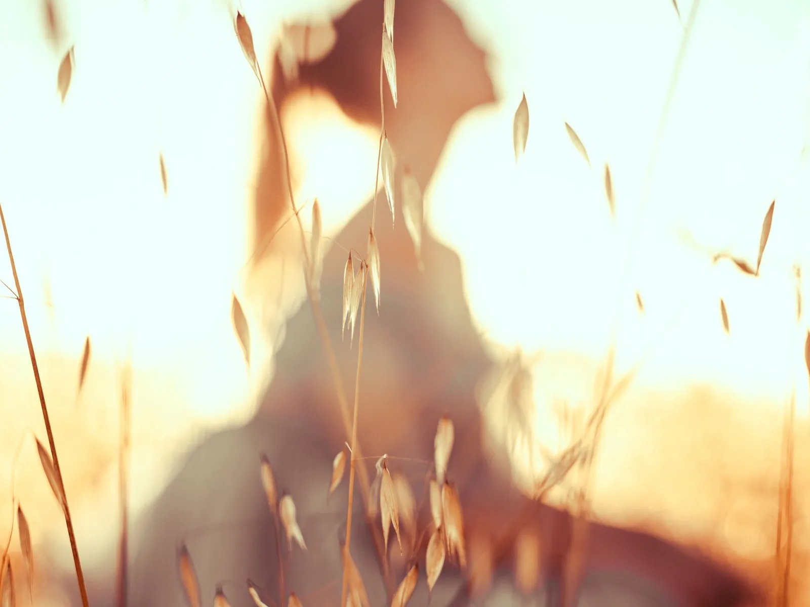 A person standing in a sunlit field of tall grass